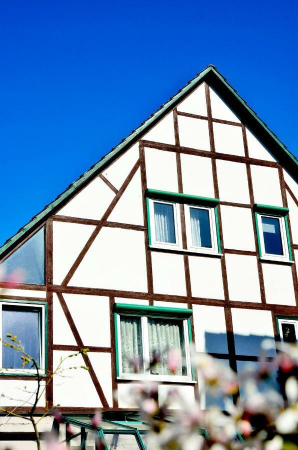 Ferienwohnung Wilhelm Springstille Luaran gambar