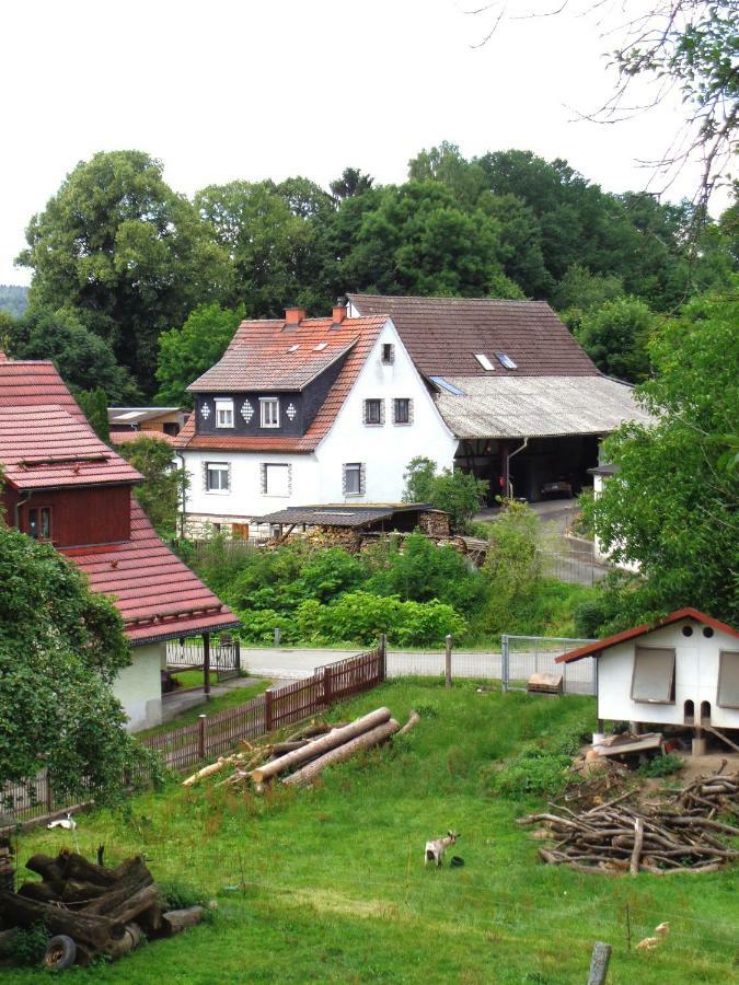Ferienwohnung Wilhelm Springstille Luaran gambar
